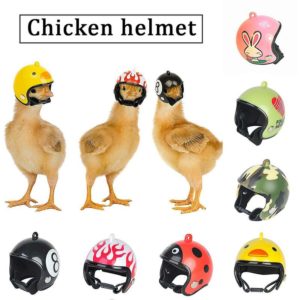 Pet Chicken Helmet Small Pet Headgear Pet Bird Creative Hat Head Protecter - Flkwoh