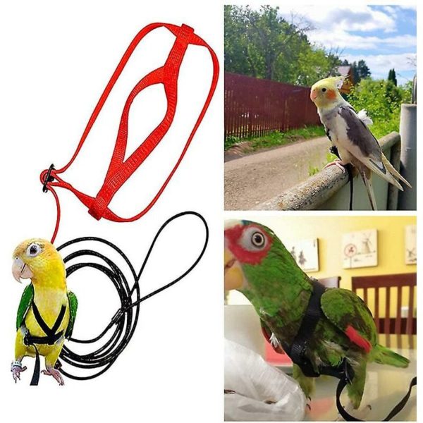 Pet Parrot Bird Harness Leash Adjustable Bird Flying Harness Pull Rope with Cute Wing for Parrots Outdoor Training Toy (m)