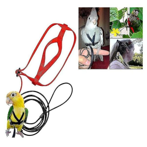 Pet Parrot Bird Harness Leash Adjustable Bird Flying Harness Traction Rope With Cute Wing F