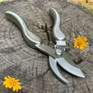 Professional Stainless Steel Secateurs, Cutting Size up to 12mm