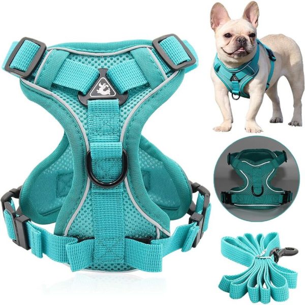 Puppy Harness for Small Dog, No Pull Dog Harness and Lead Set with Handle Adjustable Chest Padded, Reflective Easy Control co.ukont Clip Puppy