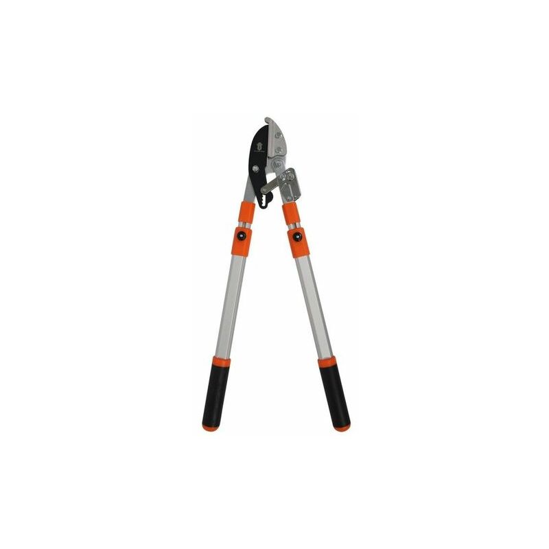 Rack and Pinion Telescopic Lopper