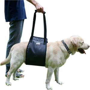 Sling Assist Dog Lift Harness Canine Aid Pet Support for Medium to Large Dog Legs on Hind Leg (S, Black)