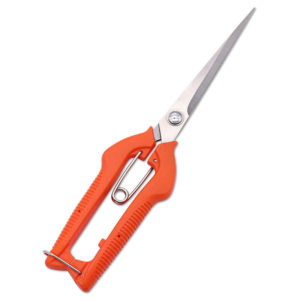 Stainless Steel Garden Shears for Flower Arranging, Plant Cutting, Fruit Harvesting