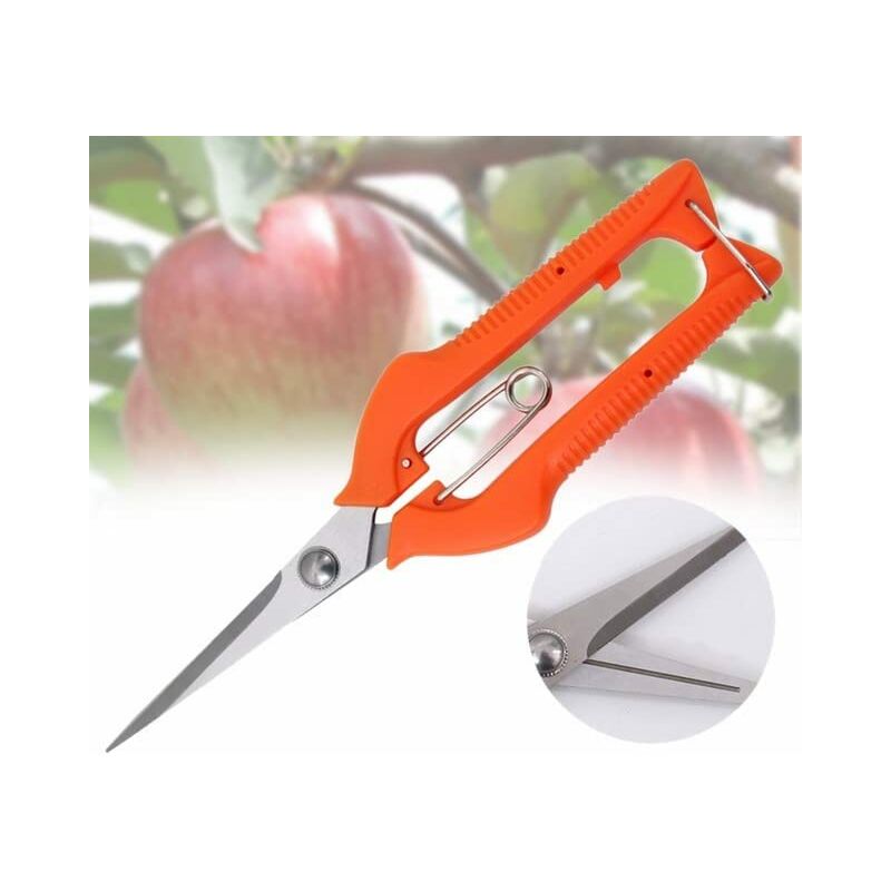 Stainless Steel Plant Flower Scissors Garden Grass Flower Fruit Pruning Cutter Shears Grape Cutting Scissors