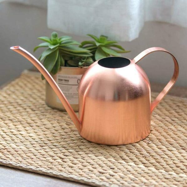 Stainless Steel Plant Watering Can Indoor Garden Metal Watering Can Long Mouth Outdoor Watering Pot with Spout for Home Plants Kettle Gardening