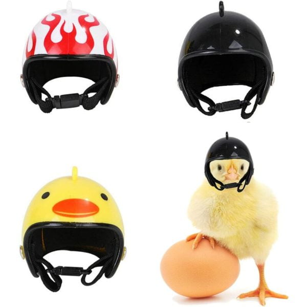 Sun Flowergb - 3 Pieces Chicken Helmet, Birds Safety Helmet, Chicken Helmet Hat, Pet Adjustable Chicken Head