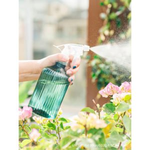 Thsinde - Houseplant Watering Can, Plant Spray Spray Ball Mist Empty Spray Bottle Empty Spray Bottle for Flowering Plants, Herbs, Home Garden500ml,