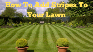 How To Add Stripes To Your Lawn