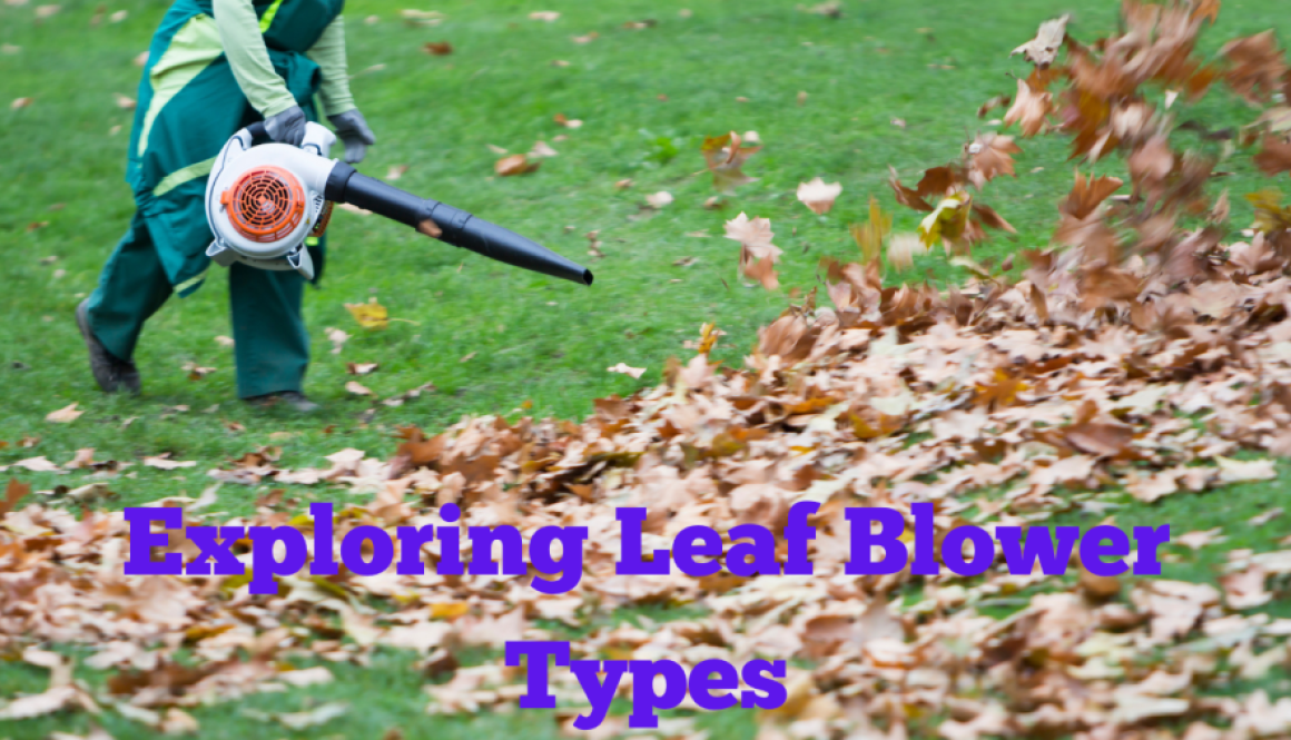 Exploring Leaf Blower Types
