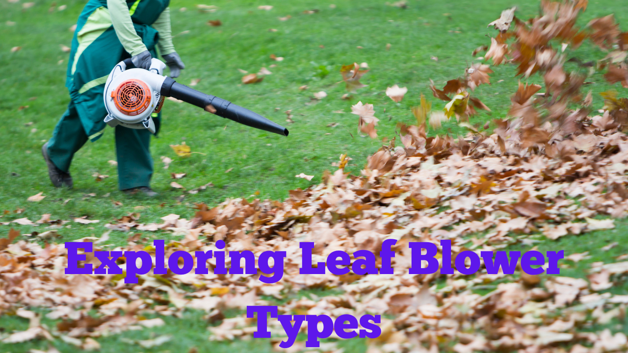 Exploring Leaf Blower Types