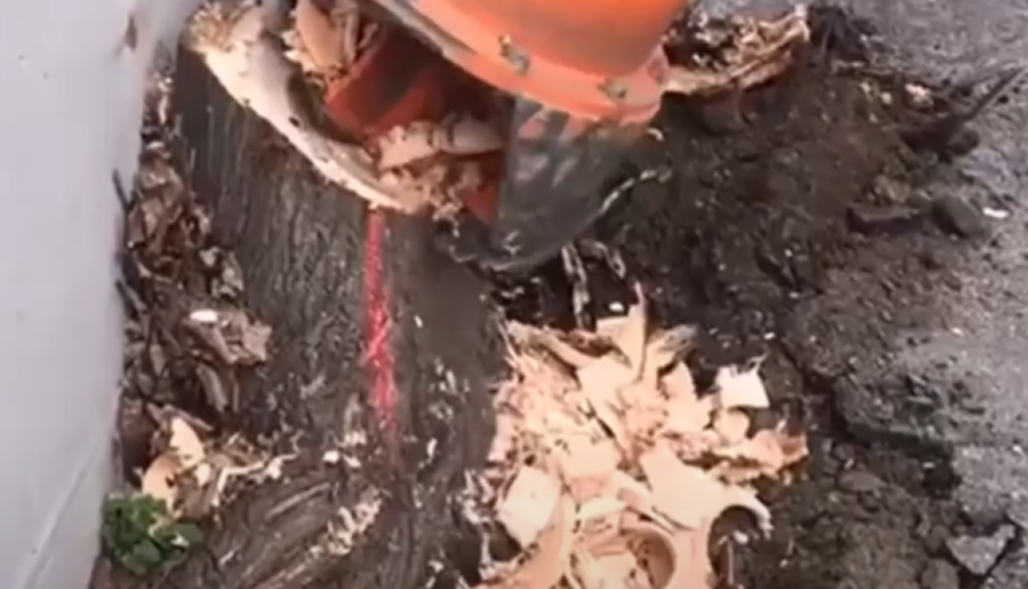 Dipperfox 600 Stump Grinder Working In A Tight Space