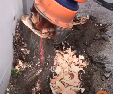Dipperfox 600 Stump Grinder Working In A Tight Space