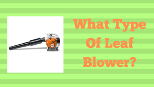 What Type Of Leaf Blower