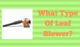 What Type Of Leaf Blower