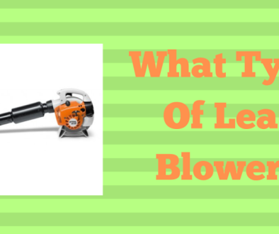 What Type Of Leaf Blower