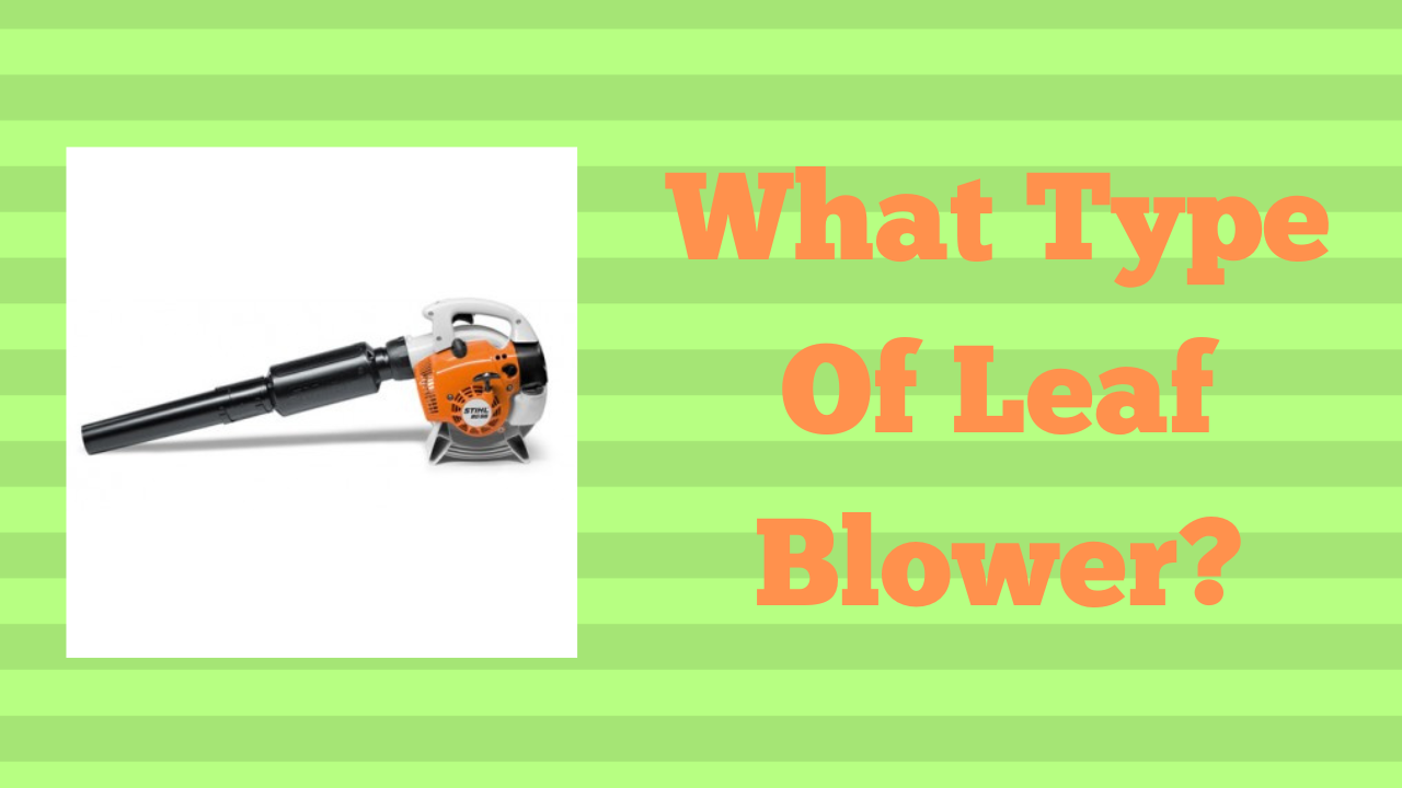 What Type Of Leaf Blower