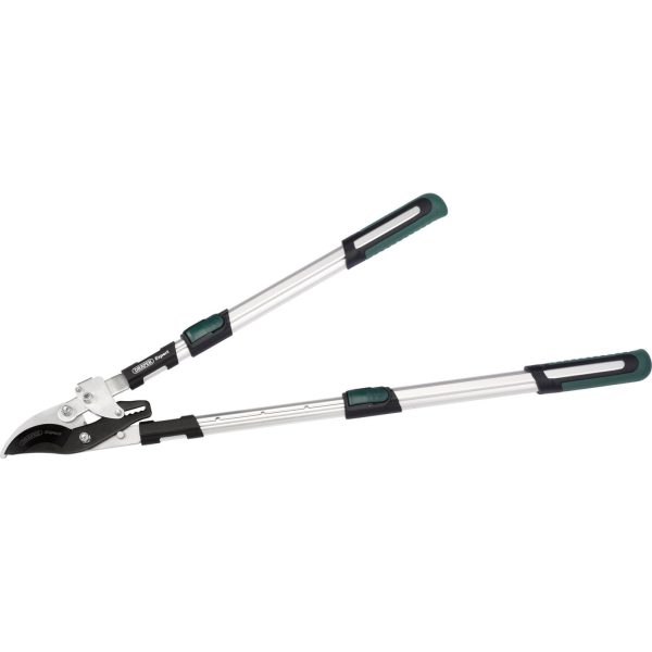 Draper Expert Telescopic Ratchet Bypass Loppers 695mm