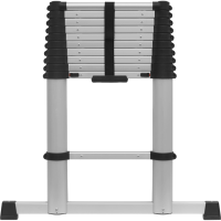 Sealey Extending Telescopic Ladder