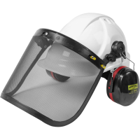 Sealey Forestry Safety Helmet Kit