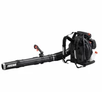 The Echo Backpack Petrol Blower PB-8010