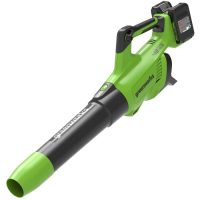 Greenworks GD24X2AB 48v Cordless Axial Leaf Blower 2 x 2ah Li-ion Battery Charger