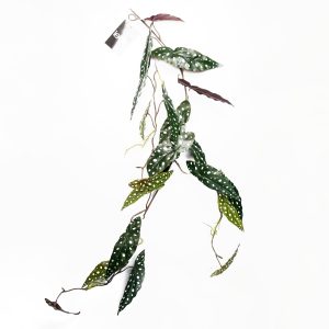 Leaf Design 6 x 110cm Artificial Hanging Trailing Begonia Maculata Spotted Plant